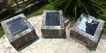 Okinawa landing zone