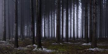 Bastogne